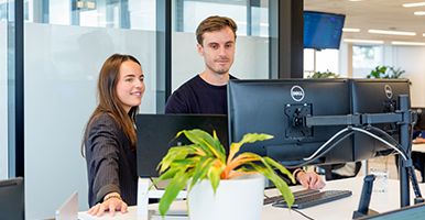 Digital Marketing Consultant